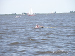 JT00978 Marijn in lake 'De Fluezen' from Indijk, The Netherlands.jpg